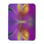 Hybridorchid, Florida 2 Magnet (Vertikal)