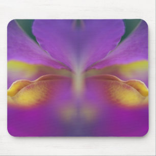 Hybridorchid, Florida 2 Mousepad