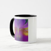 Hybridorchid, Florida 2 Tasse (Vorderseite Links)