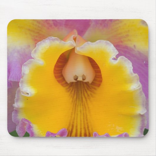 Hybridorchid, Florida Mousepad (Vorne)