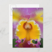 Hybridorchid, Florida Postkarte (Vorne/Hinten)