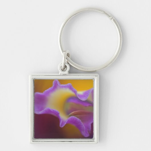 Hybridorchid, Florida Schlüsselanhänger (Vorne)