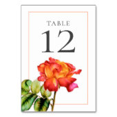 Hybridtee Rose Orangensaft Tischnummer (Rückseite)