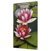 Hybridwasserlilie Klemmbrett (Links)