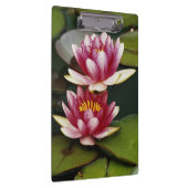 Hybridwasserlilie Klemmbrett (Rechts)