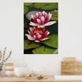 Hybridwasserlilie Poster (Küche)