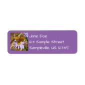 Hydaspe Fritillary auf Lila Aster-Blume (Vorne)