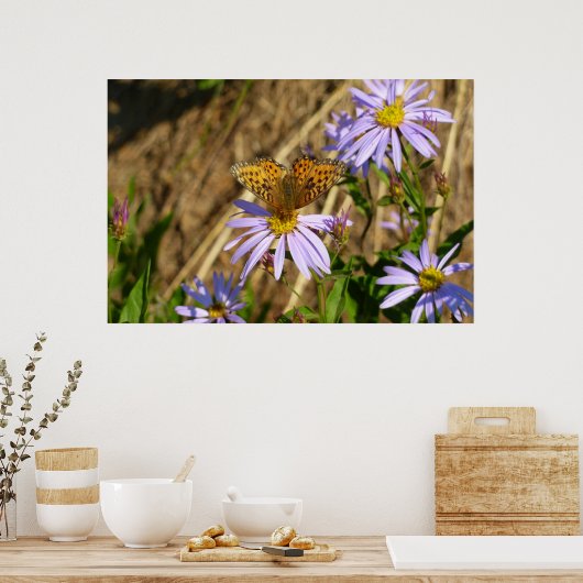 Hydaspe Fritillary auf Lila Aster-Blume Poster (Küche)