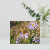 Hydaspe Fritillary auf Lila Aster-Blume Postkarte (Stehend Vorderseite)