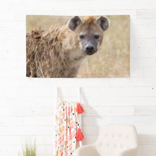 Hyde Banner (Insitu)