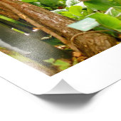 Hyde Park - Park Bench Fotodruck (Ecke)