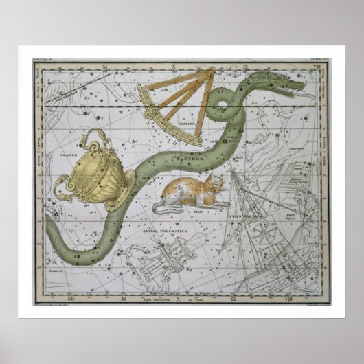 Hydra, aus 'A Celestial Atlas', Pub. 1822 (Spalte Poster (Vorne)