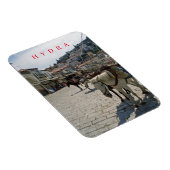 Hydra Insel Pferde Blick Kühlschrankmagnet Magnet (Rechte Seite)