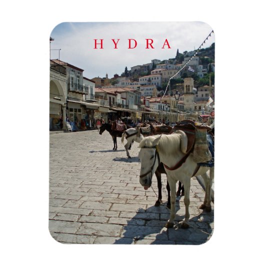 Hydra Insel Pferde Blick Kühlschrankmagnet Magnet (Vertikal)