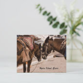 Hydra Island, Griechenland Postkarte (Stehend Vorderseite)