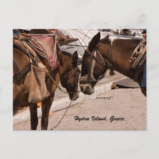 Hydra Island, Griechenland Postkarte (Vorderseite)