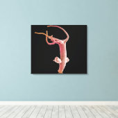 Hydra Littoralis Leinwanddruck (Insitu (Holzboden))