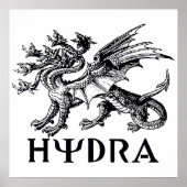 Hydra Poster (Vorne)