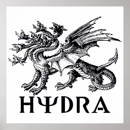 Hydra Poster (Vorne)