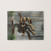 Hydra Puzzle (Horizontal)