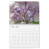 HYDRANDEAS & FOREST FERNS Kalendergeschenke Kalender (Mär 2027)