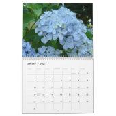 HYDRANDEAS & FOREST FERNS Kalendergeschenke Kalender (Jan 2027)