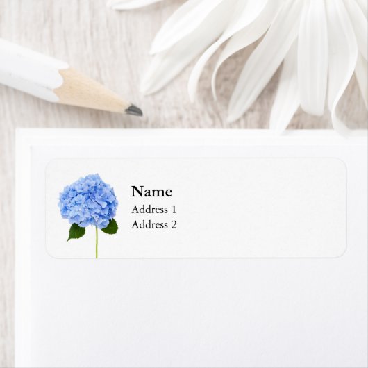 Hydrangea (Insitu)