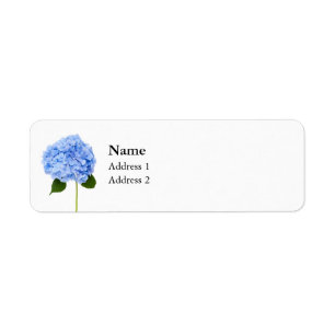 Hydrangea