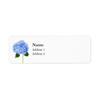 Hydrangea