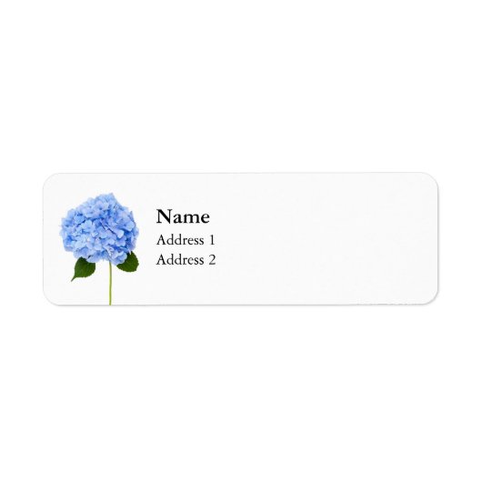 Hydrangea (Vorne)