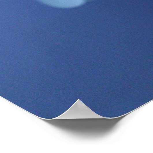 Hydrangea 11 poster (Ecke)