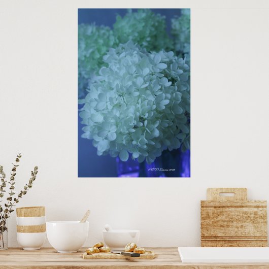 Hydrangea 11 poster (Küche)