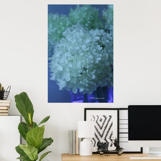 Hydrangea 11 poster (Heimbüro)