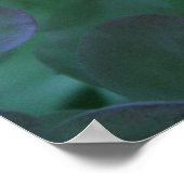 Hydrangea 1 poster (Ecke)