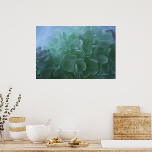 Hydrangea 1 poster (Küche)