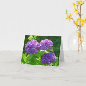 Hydrangea 2 karte (Gelbe Blume)