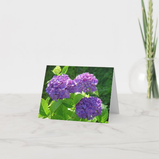 Hydrangea 2 karte (Vorderseite)