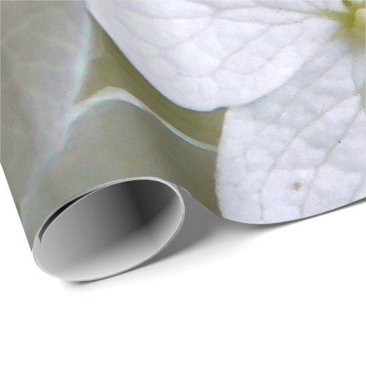 Hydrangea 6775 Wrapping Paper Geschenkpapier (Rolleneckpunkt)
