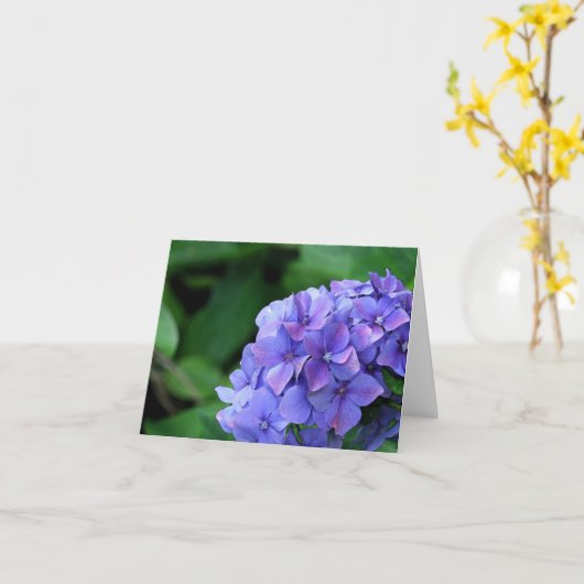 Hydrangea 6893 karte (Gelbe Blume)