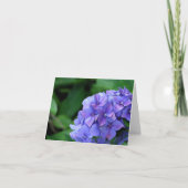 Hydrangea 6893 karte (Vorderseite)