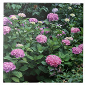 Hydrangea 6 fliese (Vorderseite)