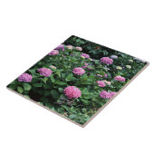 Hydrangea 6 fliese (Seite)