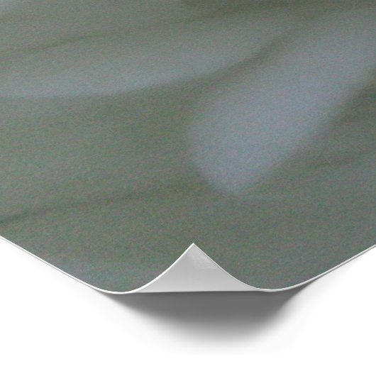 Hydrangea 6 poster (Ecke)