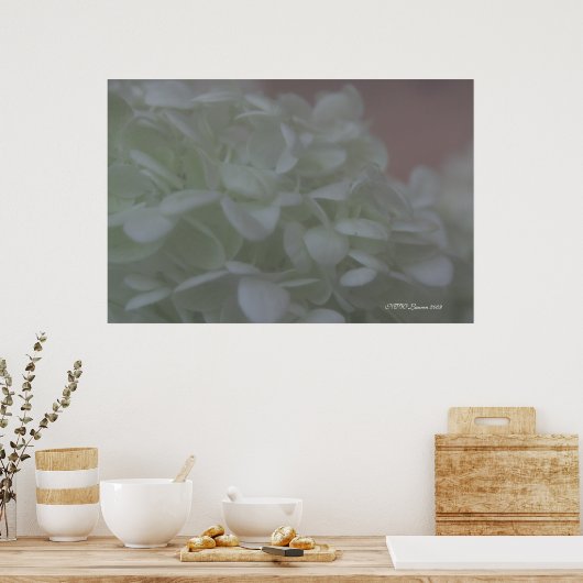 Hydrangea 6 poster (Küche)