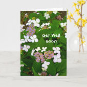 Hydrangea Aspera - bald wieder gesund Karte (Gelbe Blume)