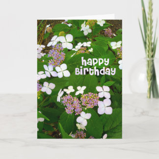 Hydrangea Aspera Geburtstag Karte
