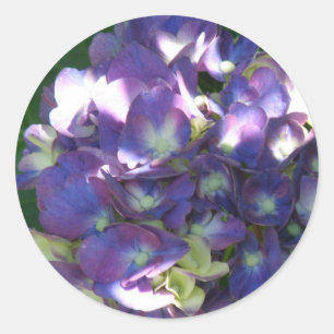 Hydrangea-Aufkleber Runder Aufkleber