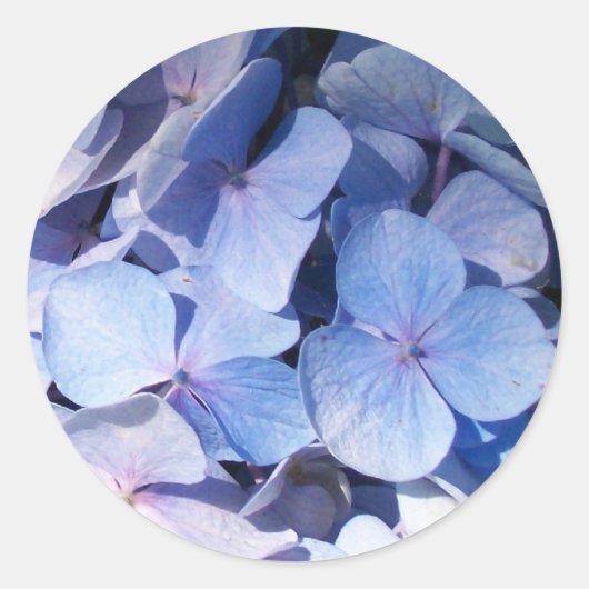Hydrangea-Aufkleber Runder Aufkleber (Vorderseite)