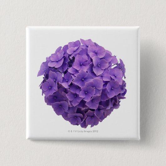 Hydrangea-Ball-Nahaufnahme Button (Vorderseite)