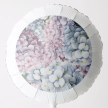 Hydrangea
